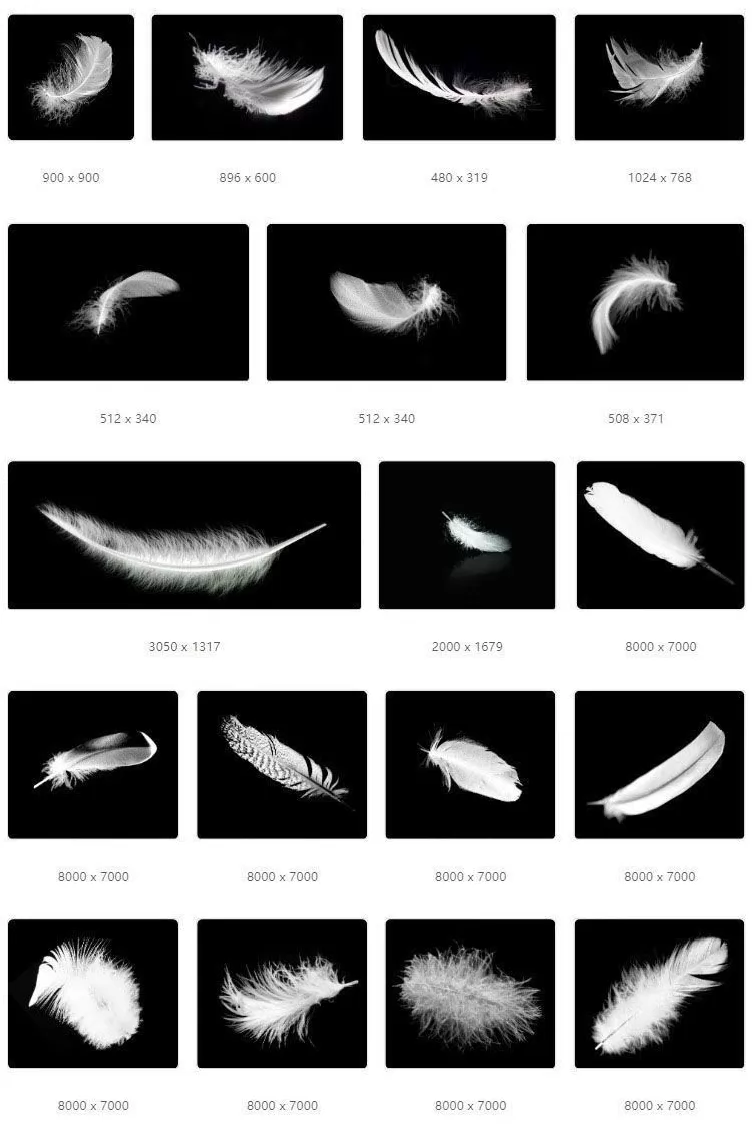 梦幻白色羽毛飘落散落黑色绒毛png免扣psd设计素材图片 3