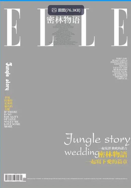 欧美杂志风文字排版封面设计PSD模板素材合集图片 3