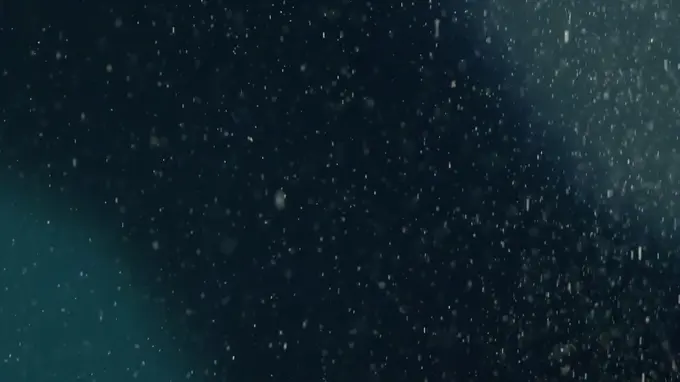 79个雪花纷飞的4K高清视频素材免费下载图片 2