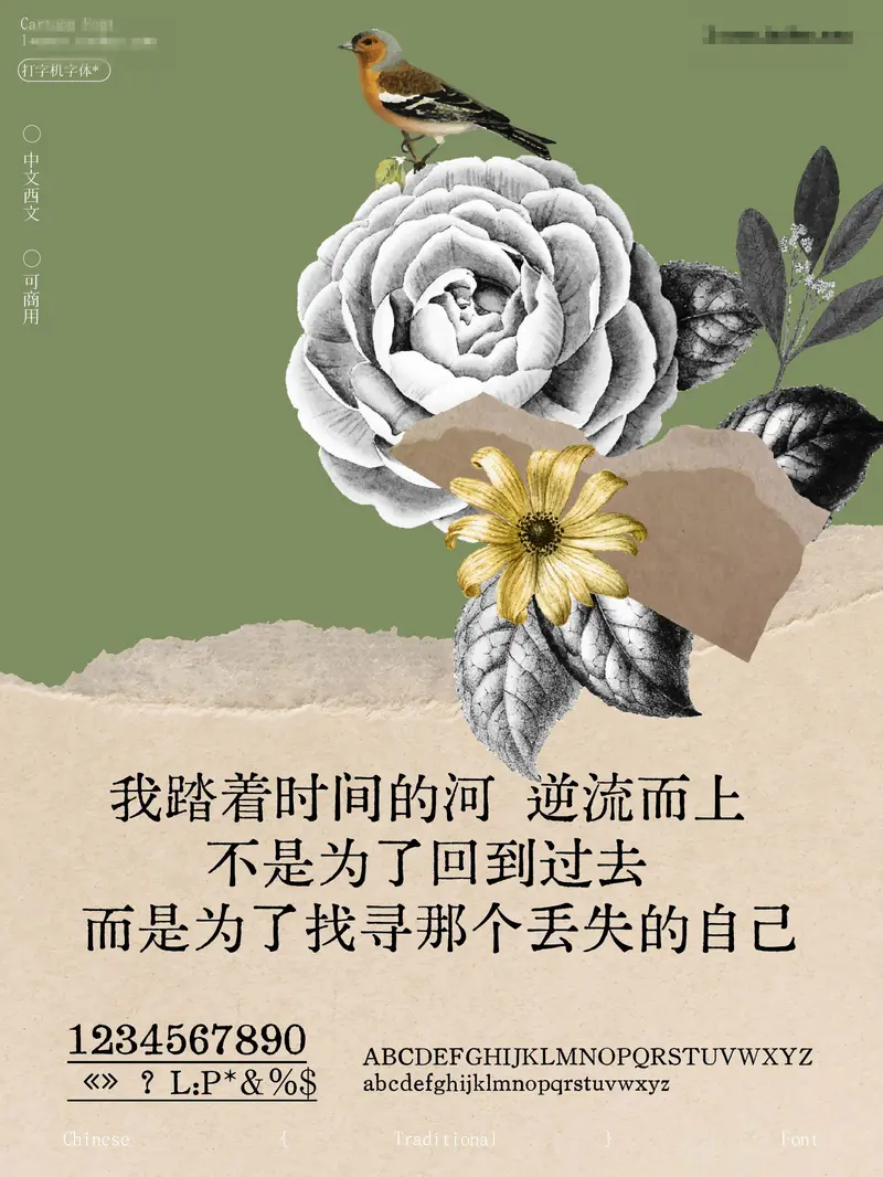 14款可商用的复古打字机中英文字体合集图片 3