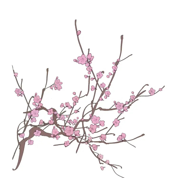 25支可商用国风梅花枝叶procreate笔刷素材图片 3