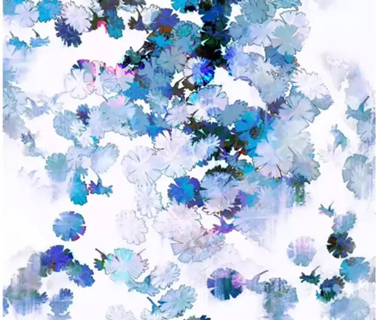 6款蒲公英和雏菊花卉商用procreate笔刷素材