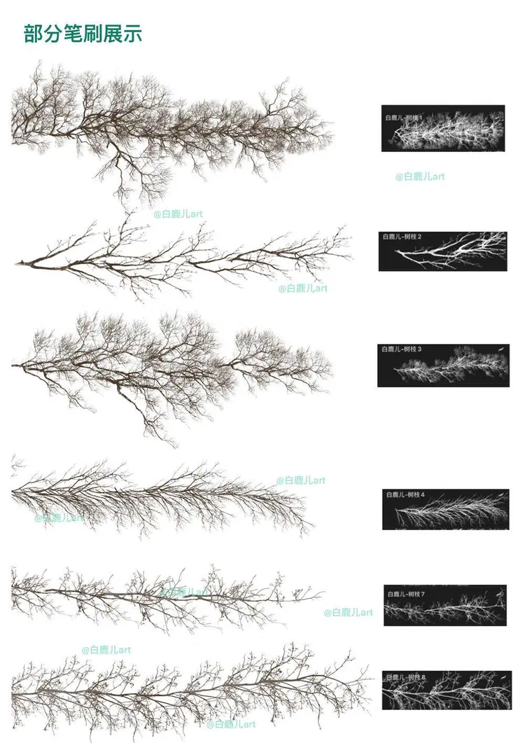 31只可商用procreate笔刷树干树枝剪影笔刷ipad绘画图片 2