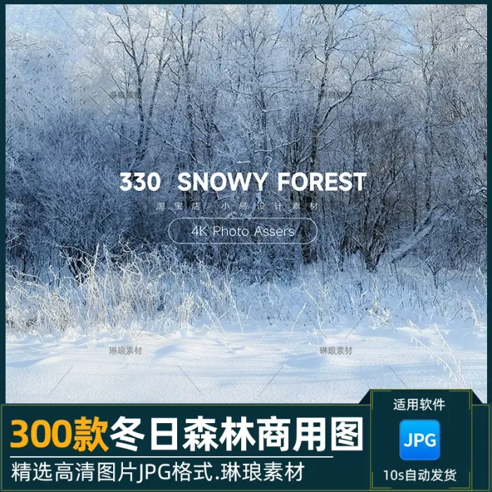300款可商用冬日森林4K高清风景图片素材图片 1