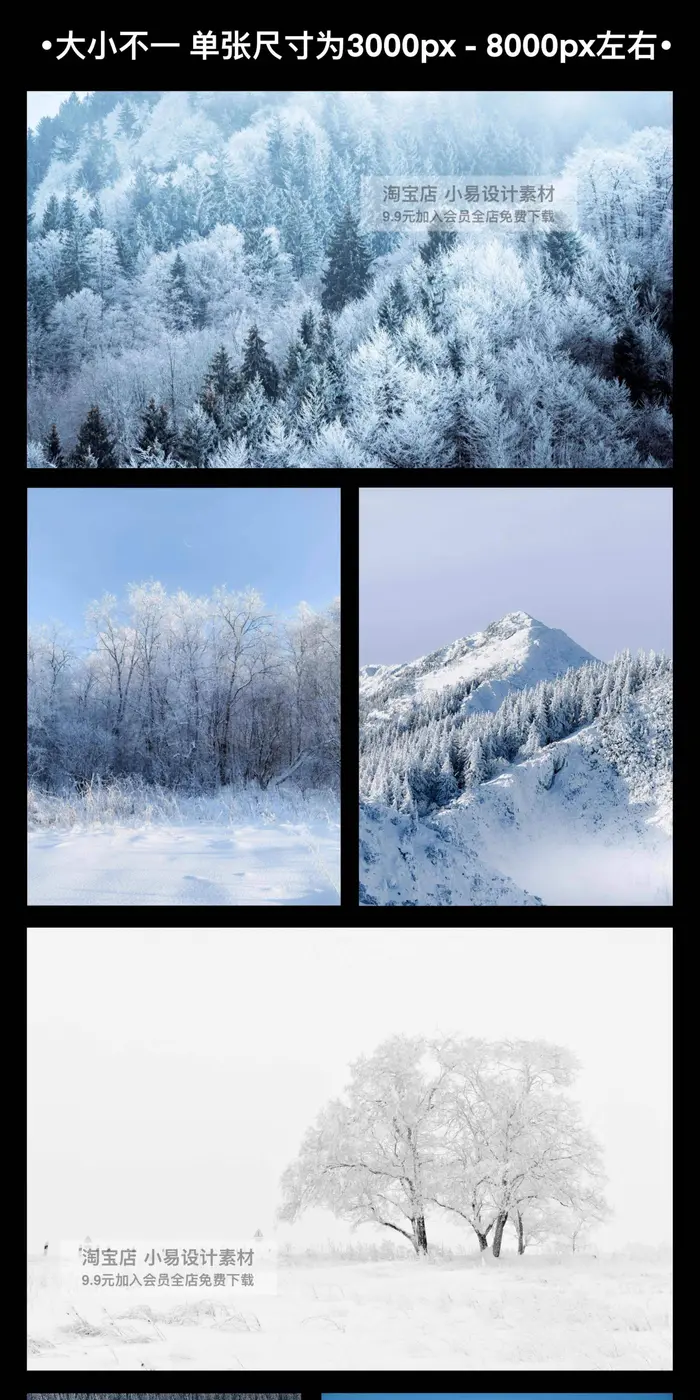 300款可商用冬日森林4K高清风景图片素材图片 2