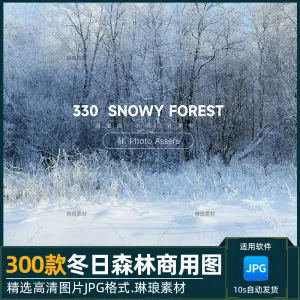 300款可商用冬日森林4K高清风景图片素材