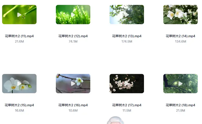 9999款治愈系风景视频素材4K高清无水印素材图片 5